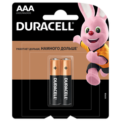 Батарейка DURACELL Basic AAA (2 шт) 5014522, фото  - Метэкс